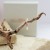 731A7616.jpg